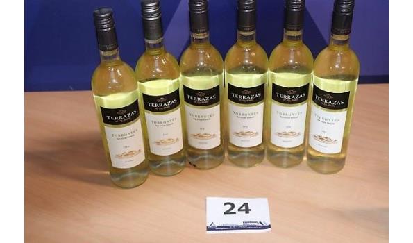 6 flessen à 75cl witte wijn TERRAZAS DE LOS ANDES, Torrontés, 2016